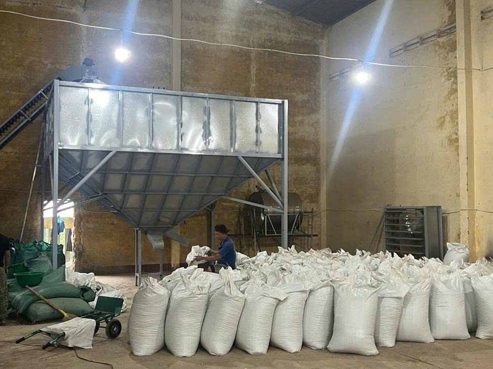 ĐỘI NGŨ NHÂN SỰ VÀ ĐỐI TÁC TIÊU BIỂU